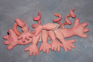 hands and tails